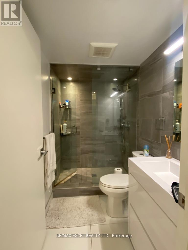 426 - 55 Stewart Street, Toronto, Ontario  M5V 2V1 - Photo 9 - C12484983