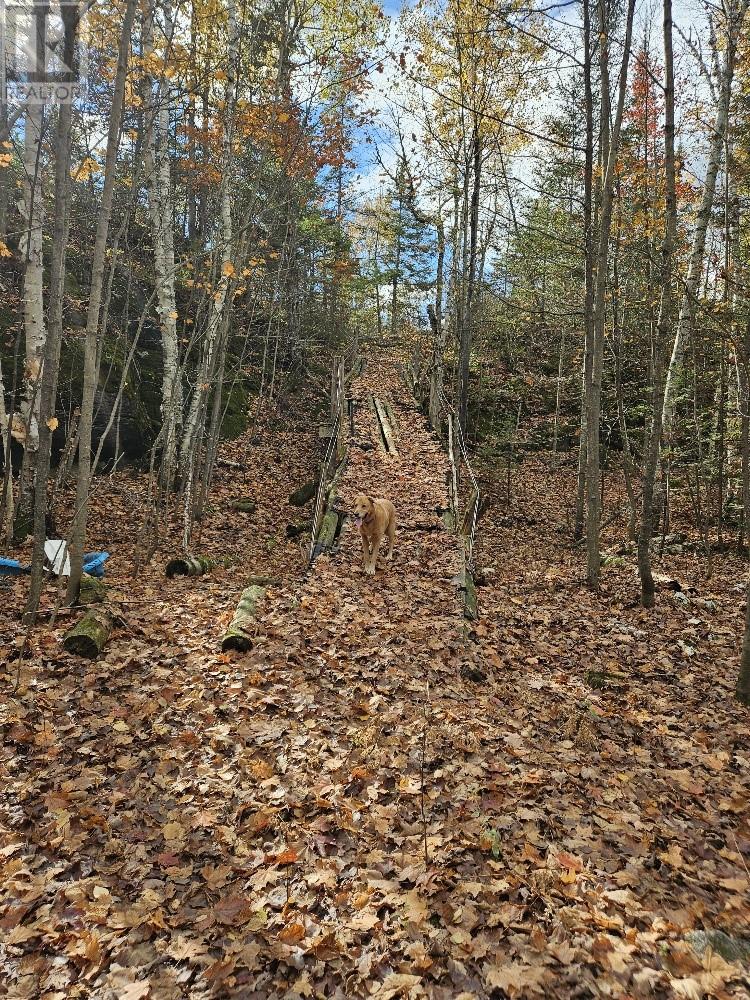 1658 Poplar Road Unit# 351, Gordon, Ontario  P0P 1H0 - Photo 13 - 2125397