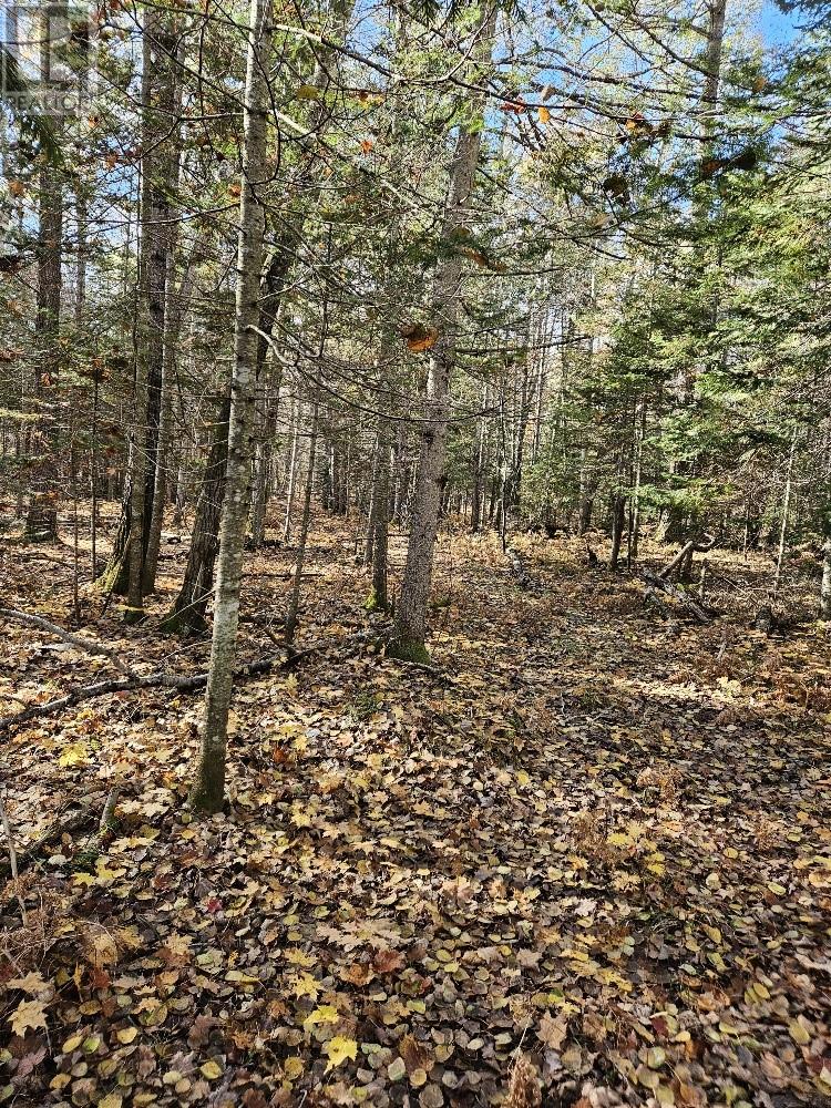 1658 Poplar Road Unit# 351, Gordon, Ontario  P0P 1H0 - Photo 14 - 2125397