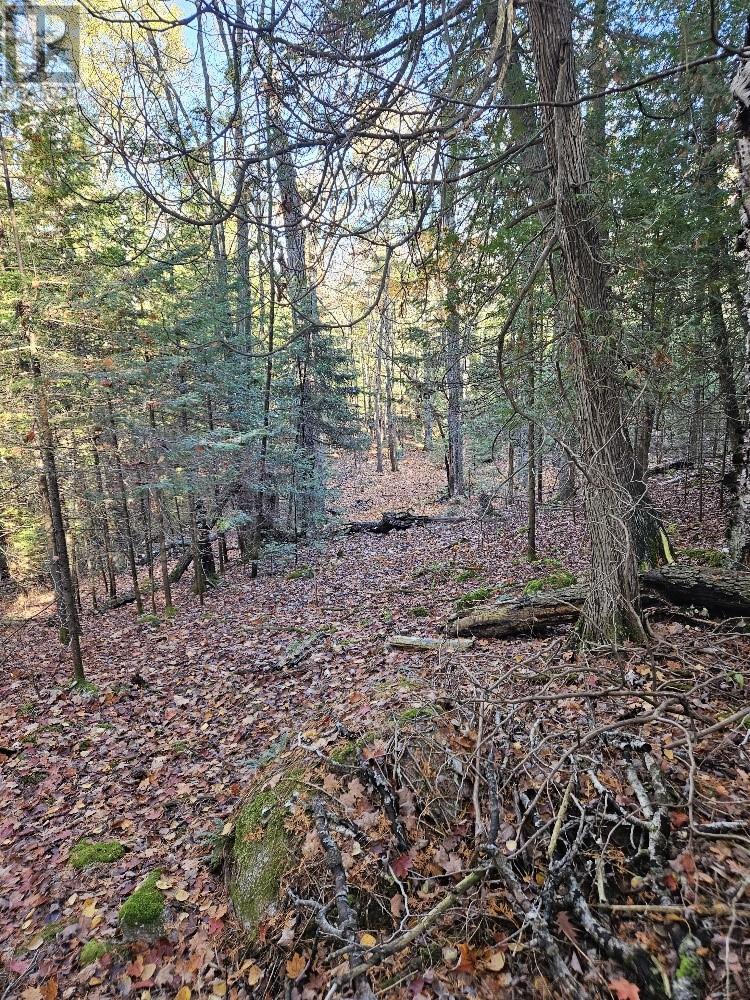 1658 Poplar Road Unit# 351, Gordon, Ontario  P0P 1H0 - Photo 17 - 2125397