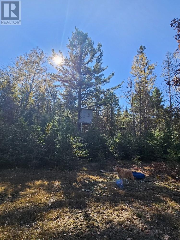 1658 Poplar Road Unit# 351, Gordon, Ontario  P0P 1H0 - Photo 18 - 2125397