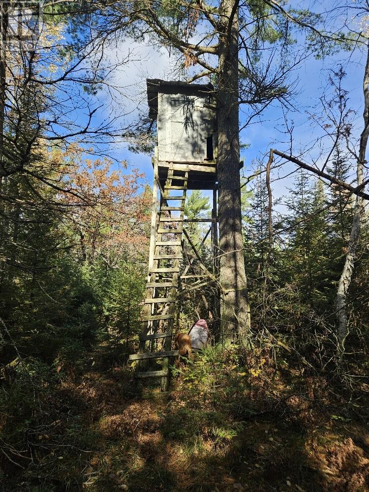 1658 Poplar Road Unit# 351, Gordon, Ontario  P0P 1H0 - Photo 19 - 2125397