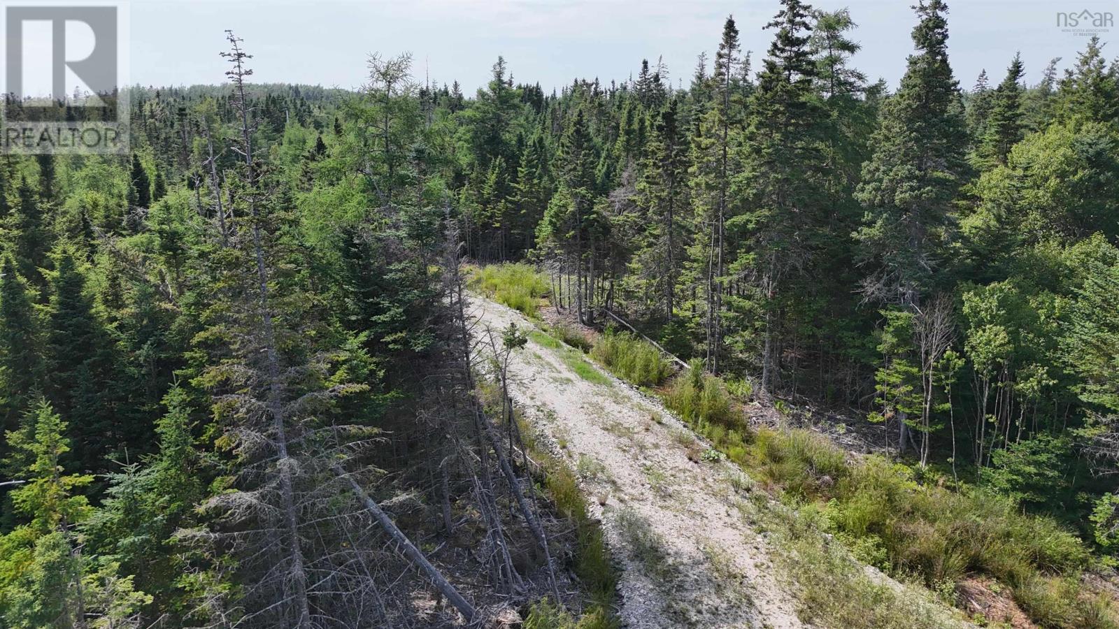 Lot 6 Walkerville Road, Kelly's Lane Lot 6, Walkerville, Nova Scotia  B0E 2J0 - Photo 23 - 202501875