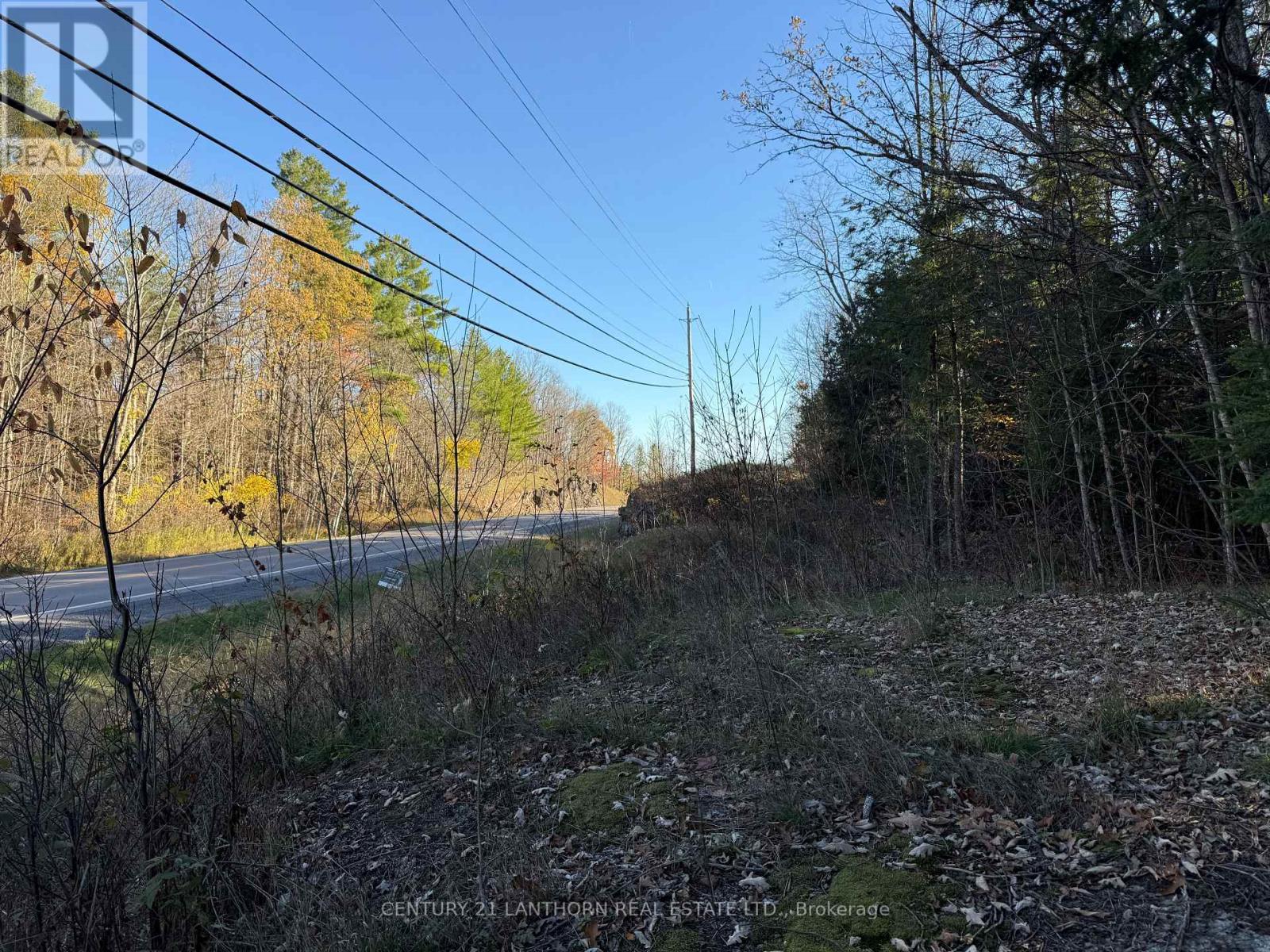 00 Hwy 62 N, Madoc, Ontario  K0K 2K0 - Photo 9 - X12329758