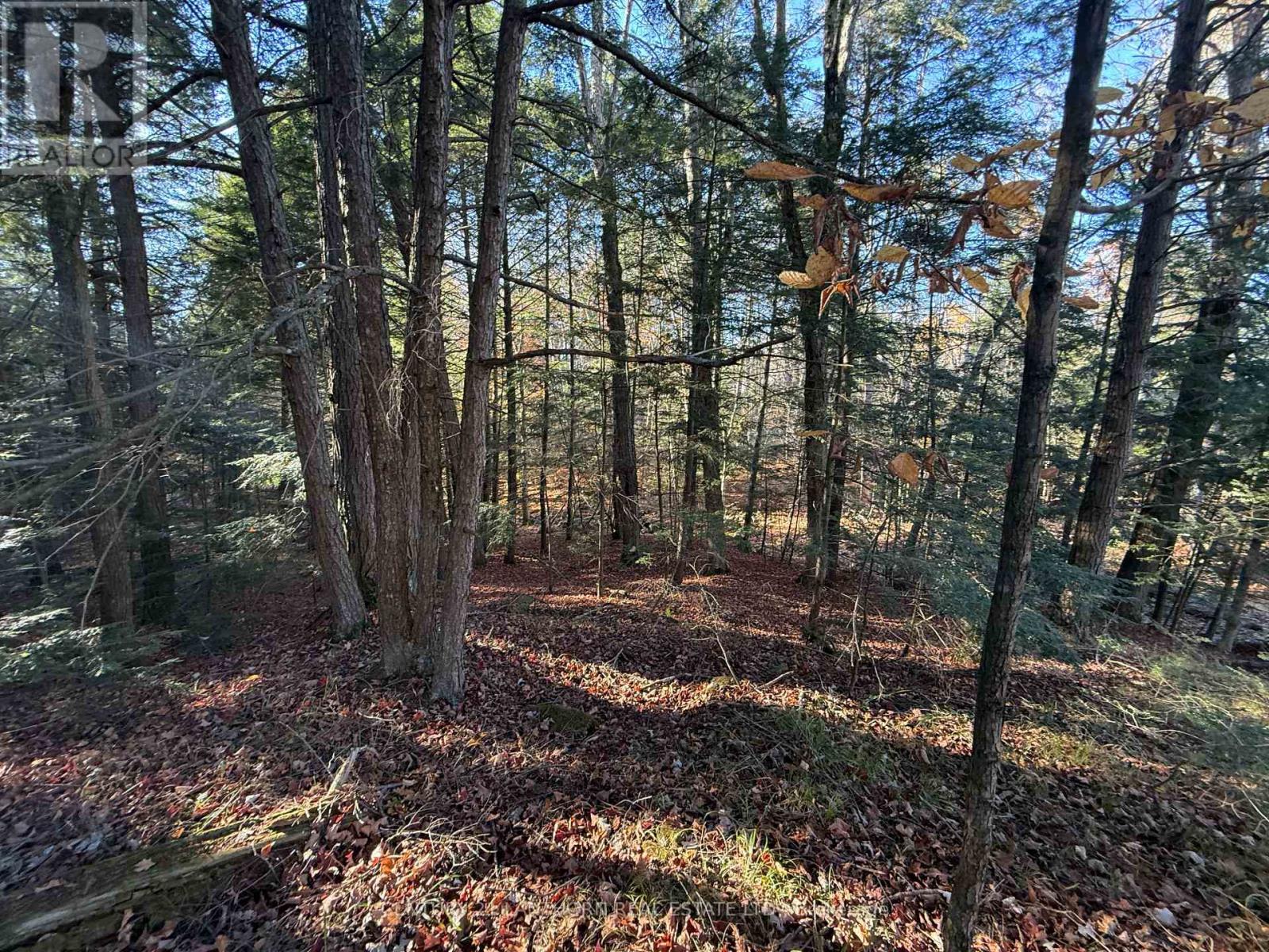 00 Hwy 62 N, Madoc, Ontario  K0K 2K0 - Photo 10 - X12329758