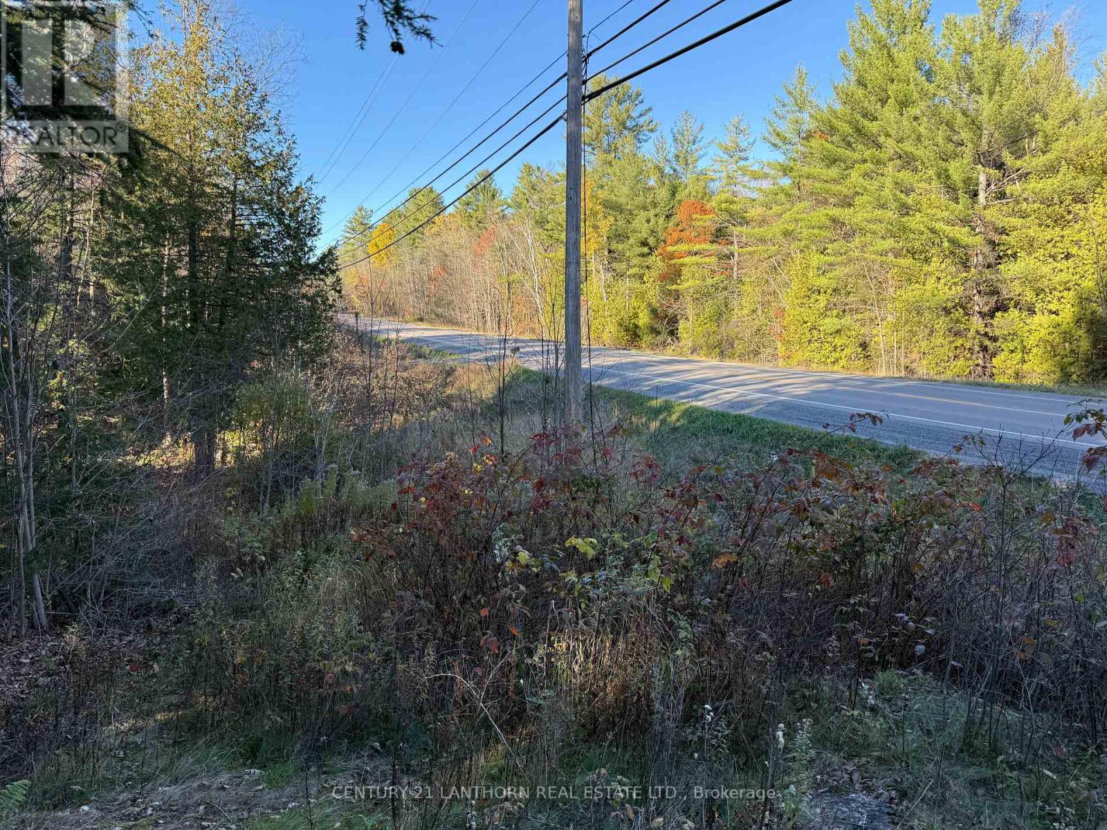 00 Hwy 62 N, Madoc, Ontario  K0K 2K0 - Photo 11 - X12329758