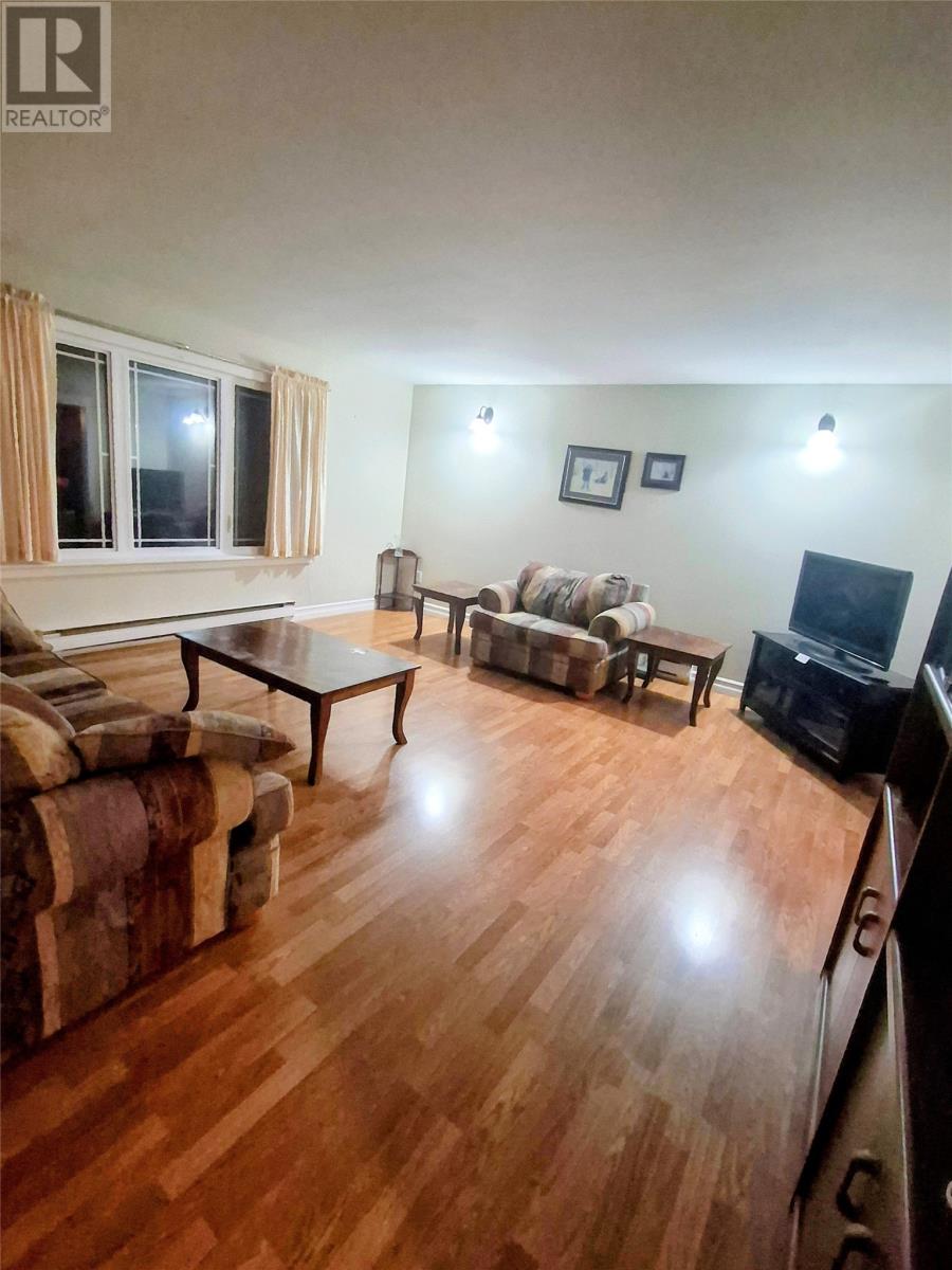 2 Burkes Road, Flowers Cove, Newfoundland & Labrador  A0K 2N0 - Photo 19 - 1292056