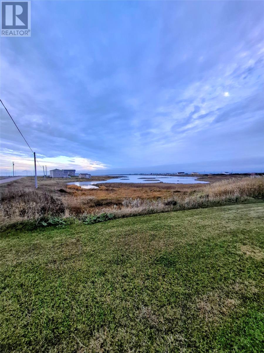 2 Burkes Road, Flowers Cove, Newfoundland & Labrador  A0K 2N0 - Photo 22 - 1292056