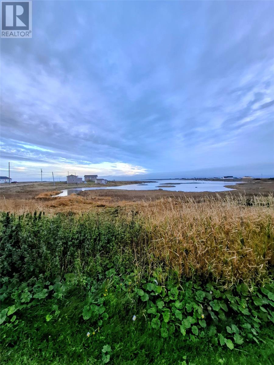 2 Burkes Road, Flowers Cove, Newfoundland & Labrador  A0K 2N0 - Photo 23 - 1292056