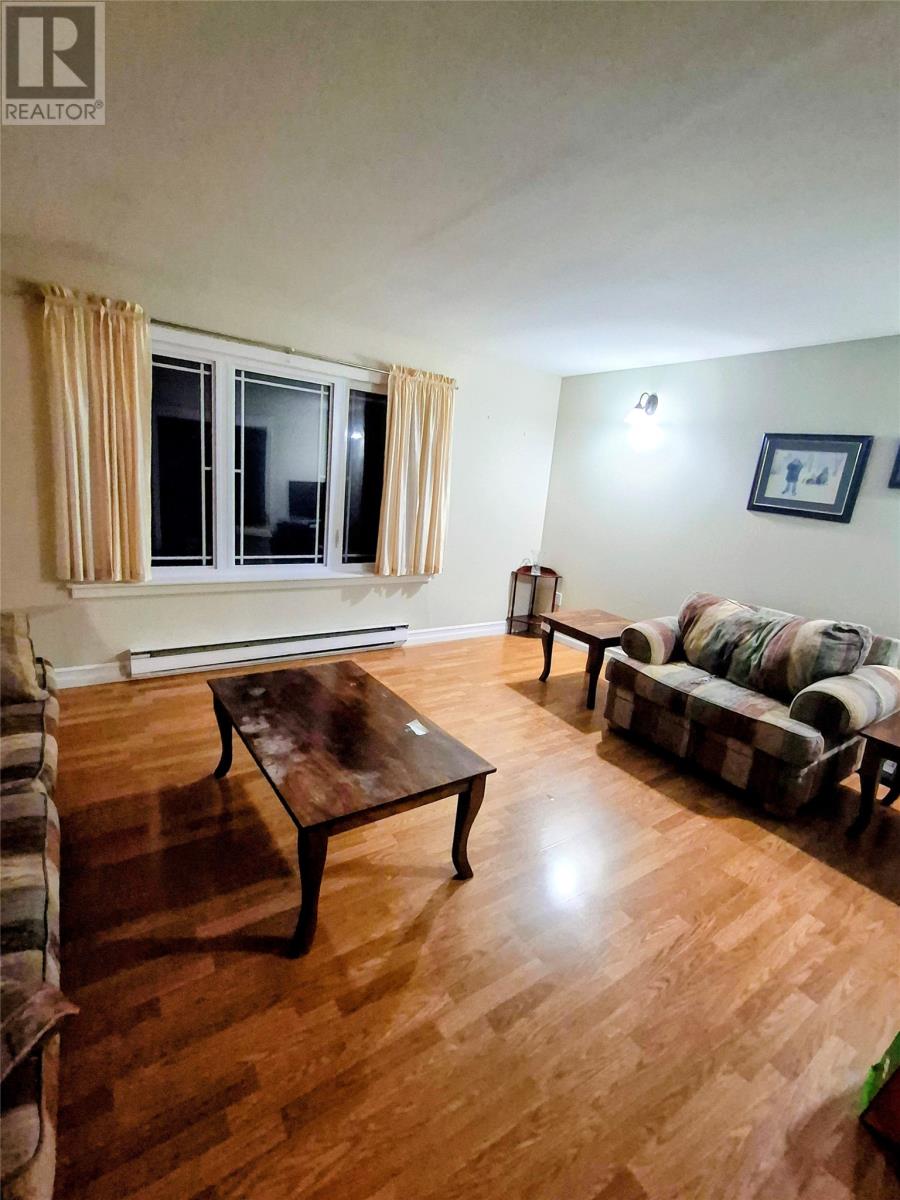 2 Burkes Road, Flowers Cove, Newfoundland & Labrador  A0K 2N0 - Photo 5 - 1292056