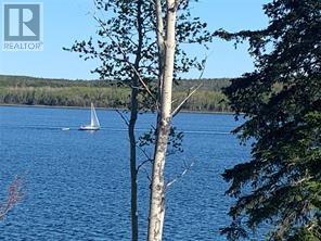 10 Old Briton Crescent, Lewisporte, Newfoundland & Labrador  A0G 3A0 - Photo 19 - 1292045