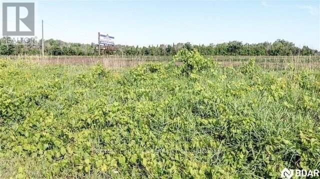 Pt Lt20 Concession 7 Drive, Oro-Medonte, Ontario  L0L 2L0 - Photo 2 - S4701501