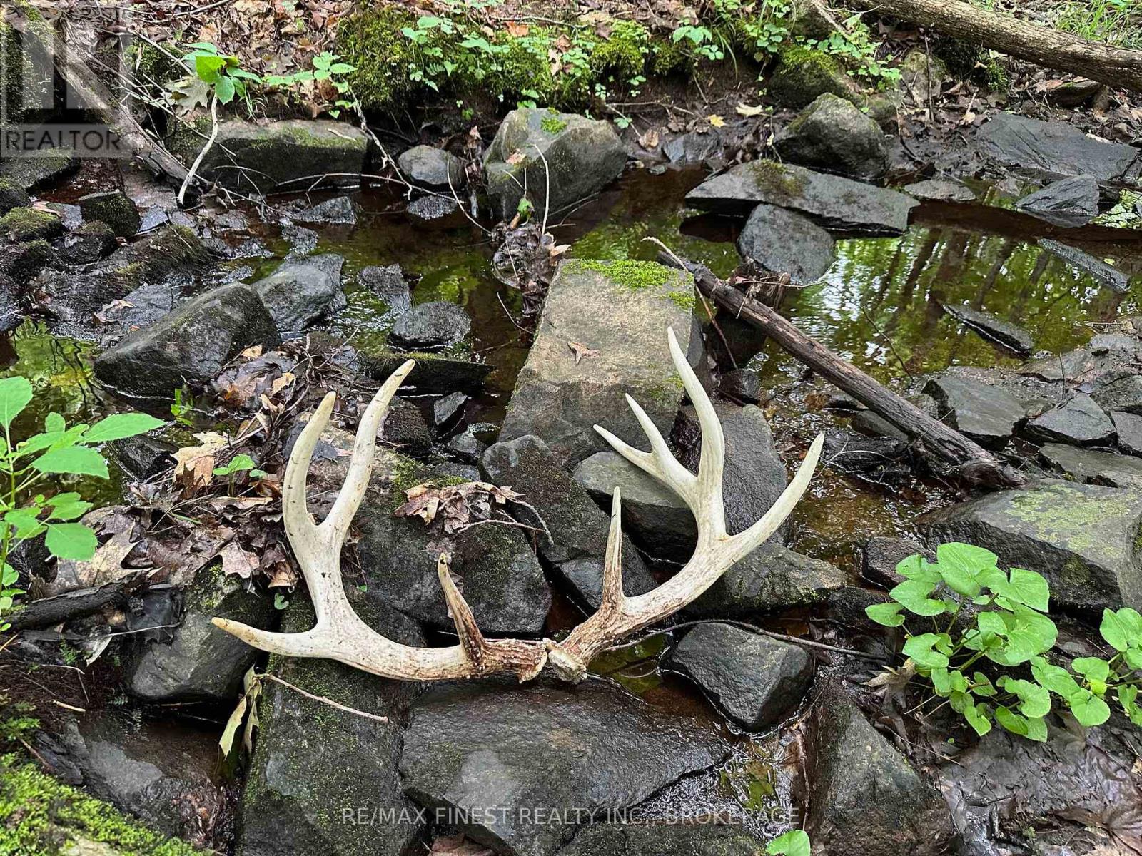 1042 St Pierre Road, Frontenac, Ontario  K0H 2C0 - Photo 5 - X12304257