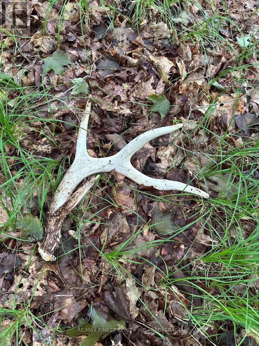 1042 St Pierre Road, Frontenac, Ontario  K0H 2C0 - Photo 4 - X12304257