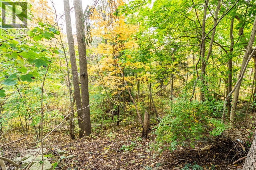 14 Cloverhill Avenue, Dundas, Ontario  L9H 2P2 - Photo 32 - 40782245