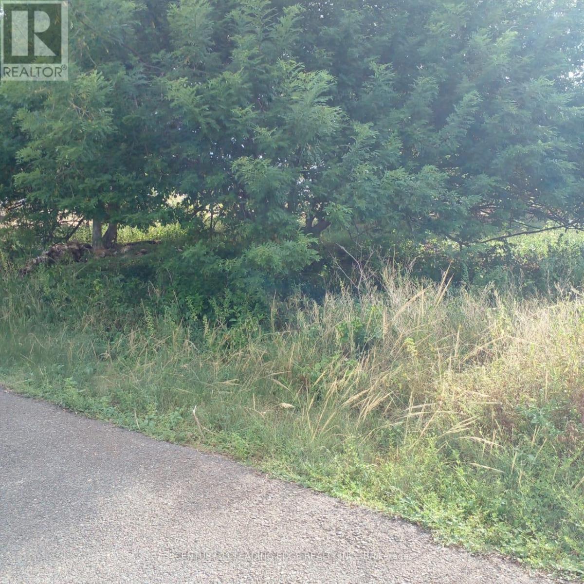 4a4 Crusoe Drive, Tobago, Ontario    - Photo 10 - X12485107