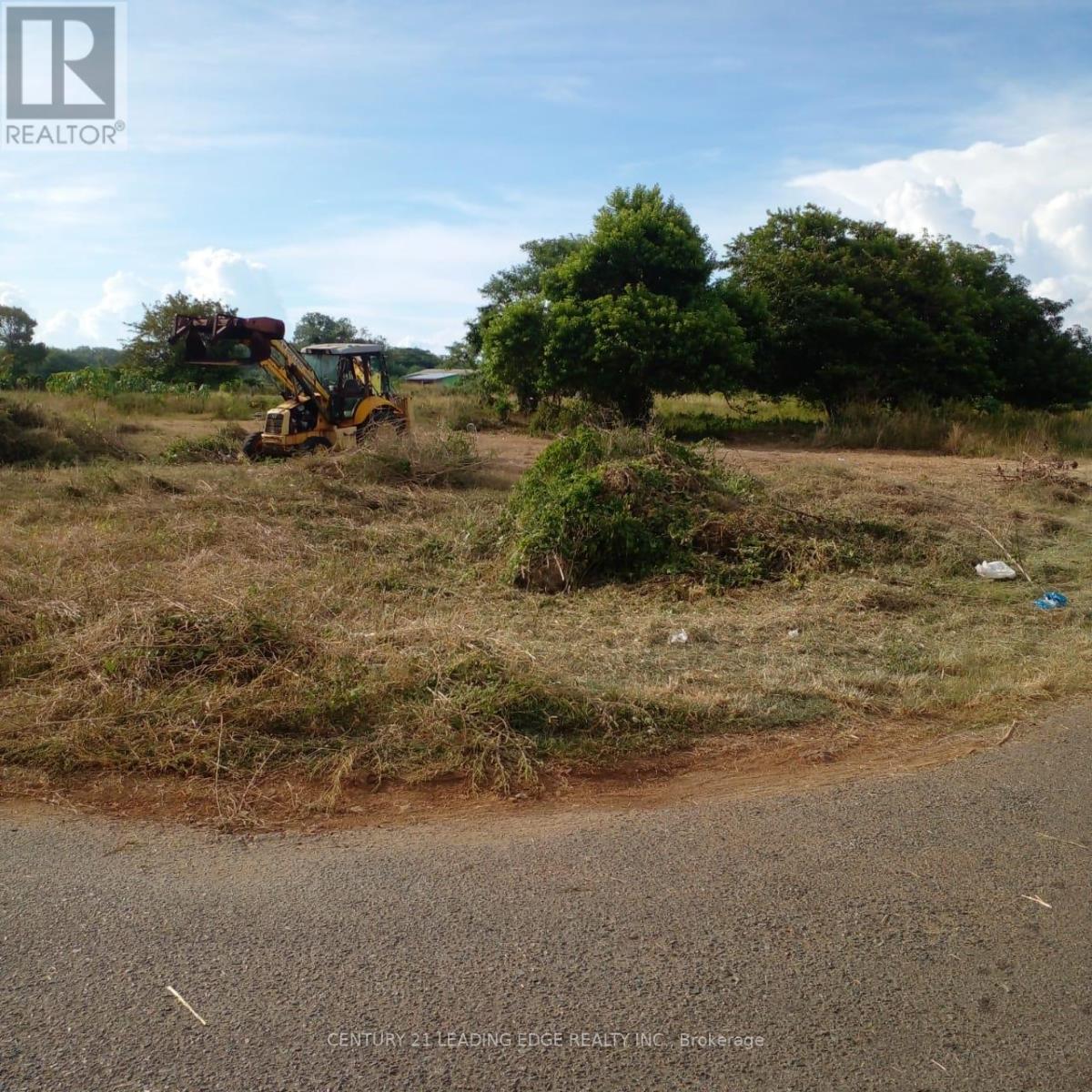 4a4 Crusoe Drive, Tobago, Ontario    - Photo 3 - X12485107