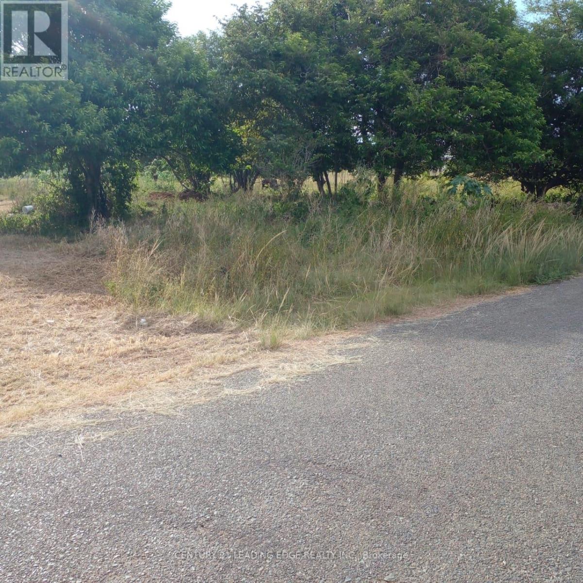 4a4 Crusoe Drive, Tobago, Ontario    - Photo 7 - X12485107