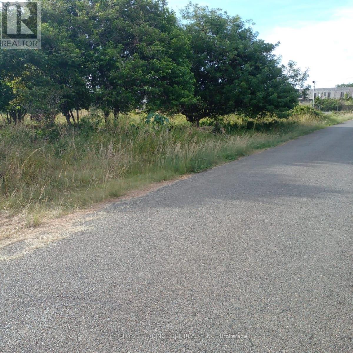 4a4 Crusoe Drive, Tobago, Ontario    - Photo 8 - X12485107