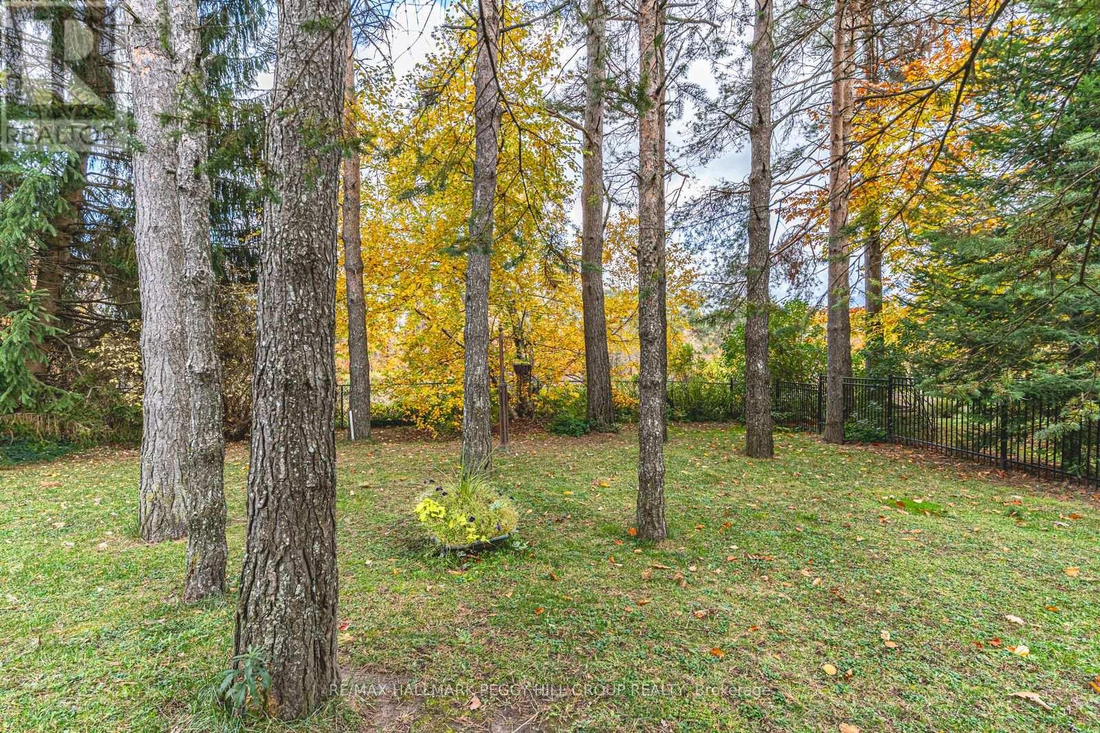 11 Bunker Place, Oro-Medonte, Ontario  L0L 2L0 - Photo 27 - S12472024