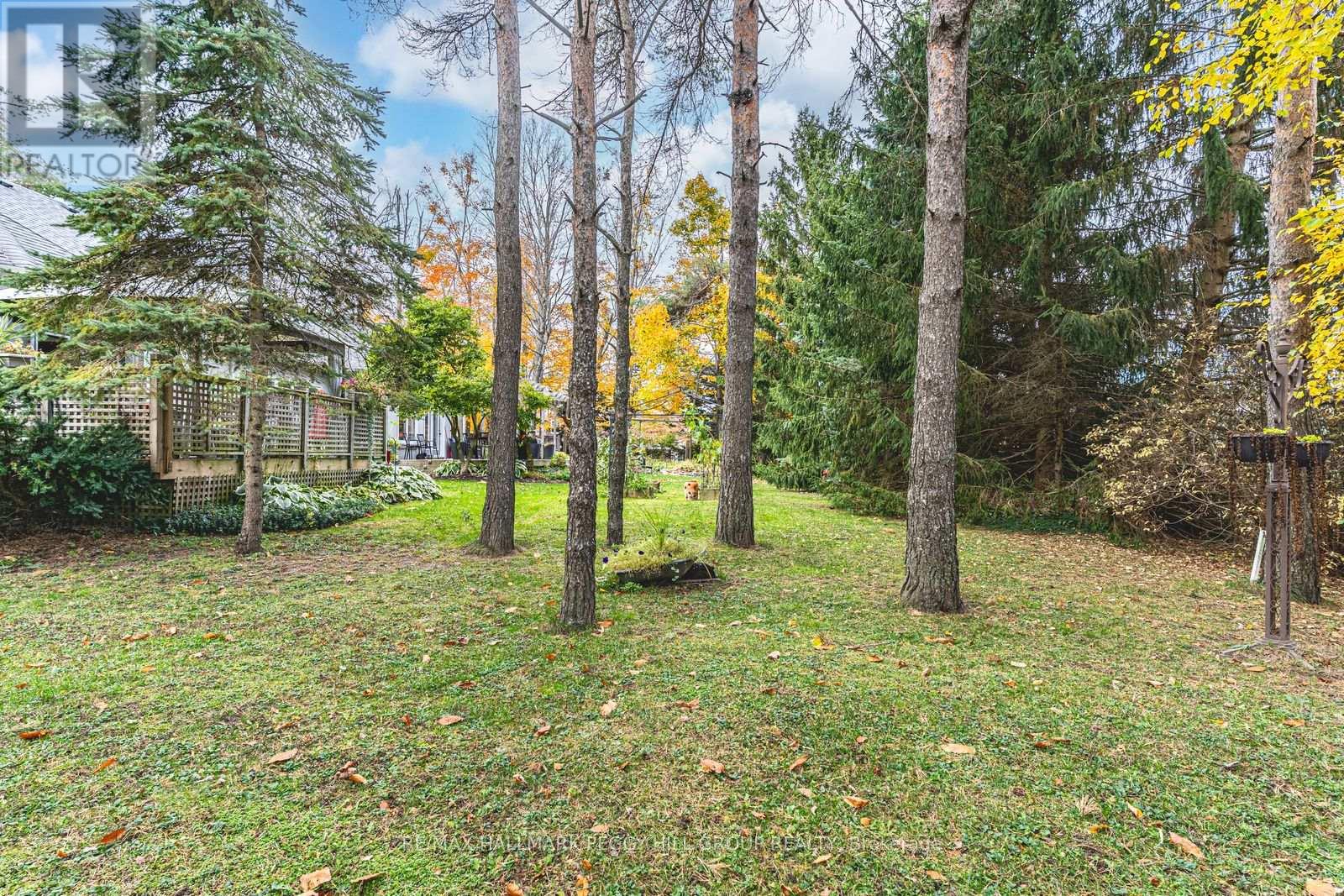 11 Bunker Place, Oro-Medonte, Ontario  L0L 2L0 - Photo 28 - S12472024