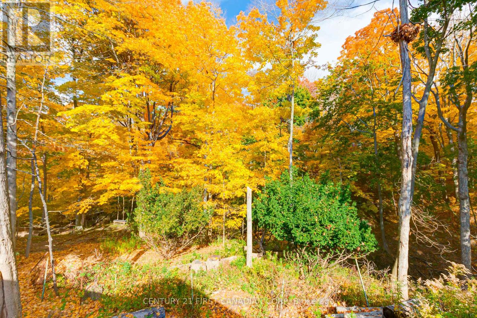 161 Brayside Street, Central Elgin, Ontario  N5L 1A2 - Photo 29 - X12485341