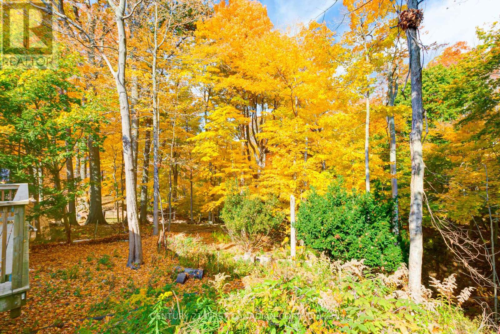 161 Brayside Street, Central Elgin, Ontario  N5L 1A2 - Photo 31 - X12485341