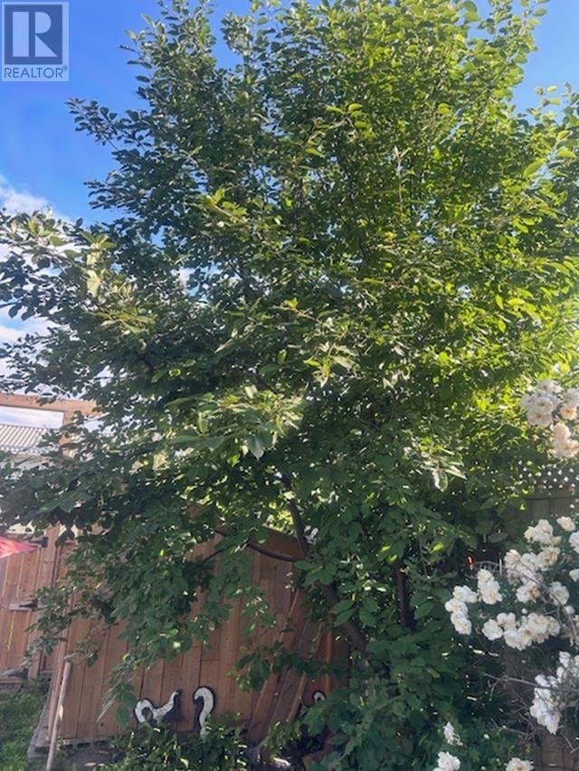 373 Arundel St, Thunder Bay, Ontario  P7A 1L4 - Photo 21 - TB253319