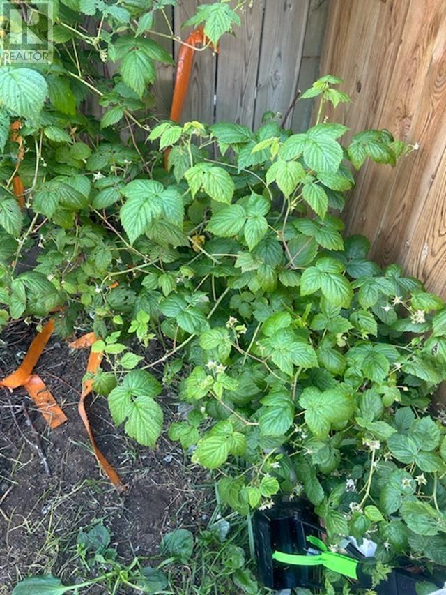 373 Arundel St, Thunder Bay, Ontario  P7A 1L4 - Photo 22 - TB253319