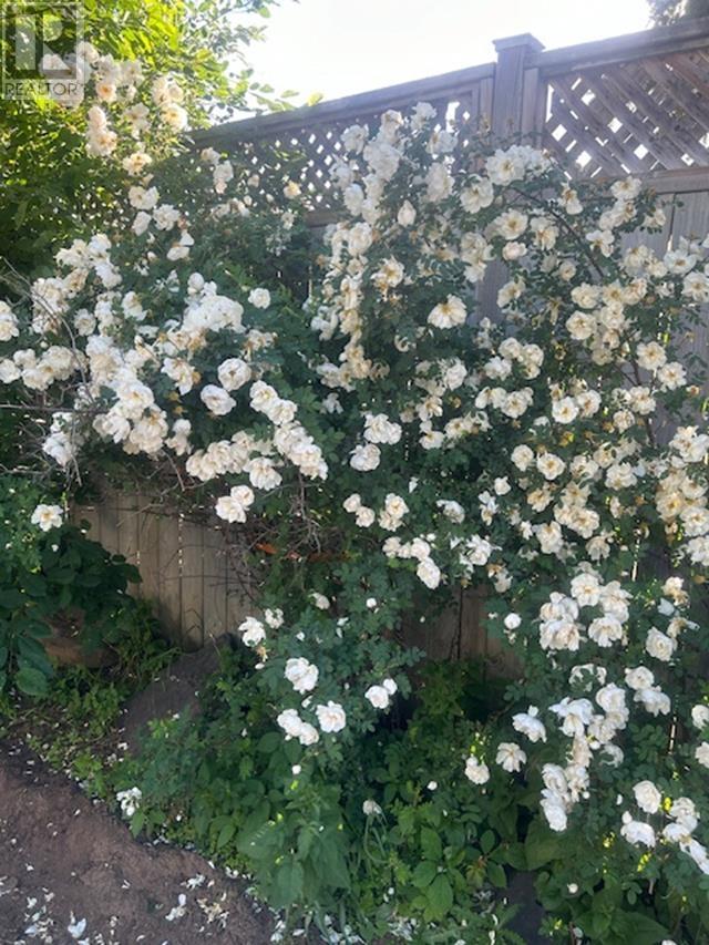 373 Arundel St, Thunder Bay, Ontario  P7A 1L4 - Photo 20 - TB253319