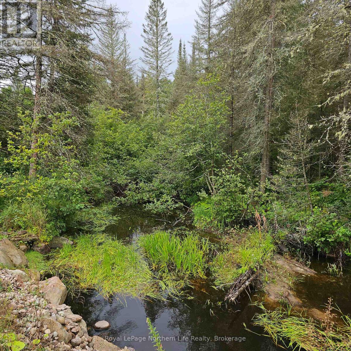 809 Cameron Road, Papineau-Cameron, Ontario  P0H 1V0 - Photo 50 - X12464971