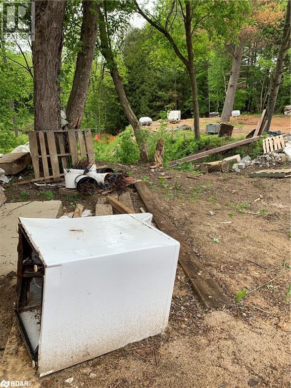 8240 Main Street, Lisle, Ontario  L0M 1M0 - Photo 32 - 40783704