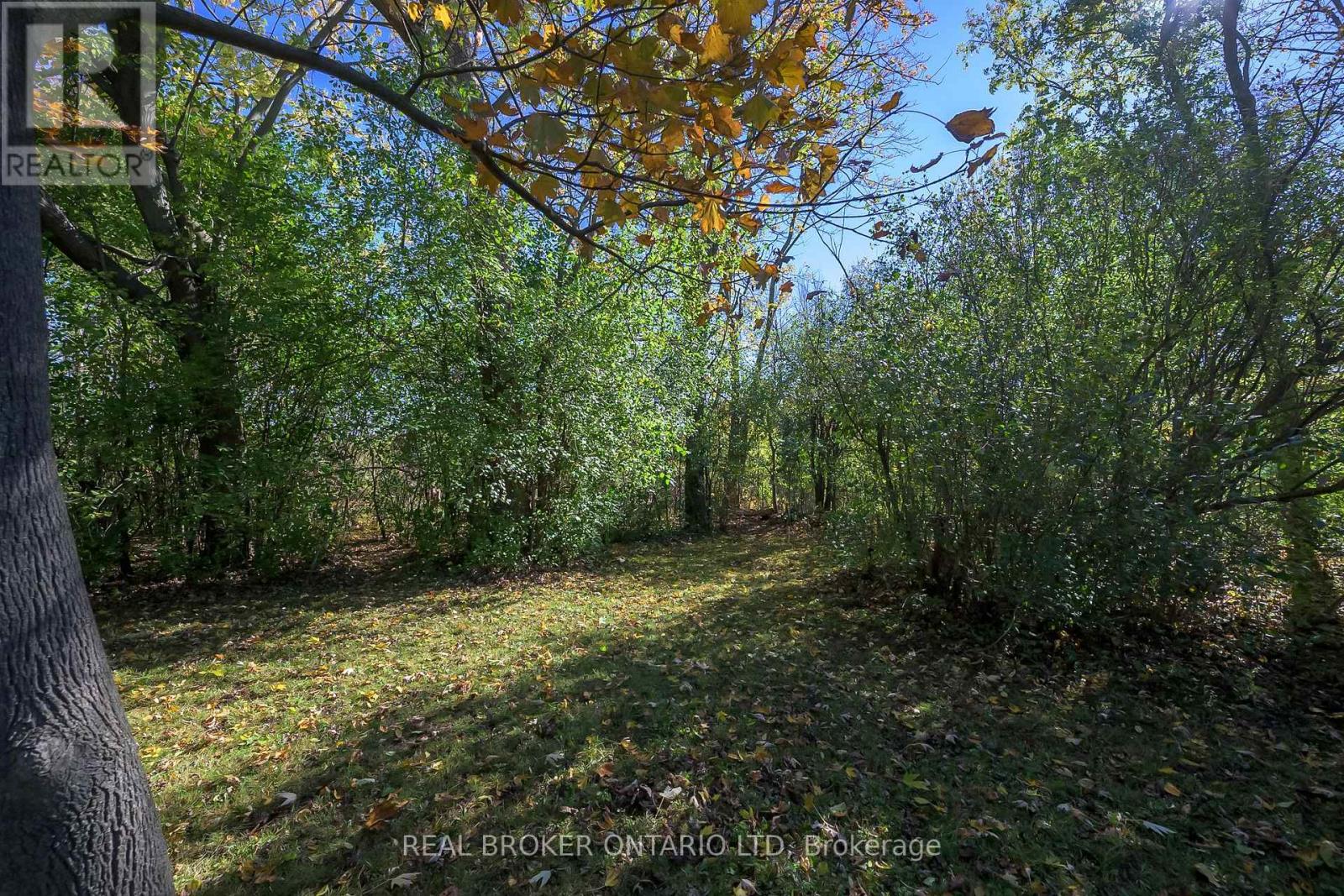 Photo 31 of 39 for 514 Upper Queen Street