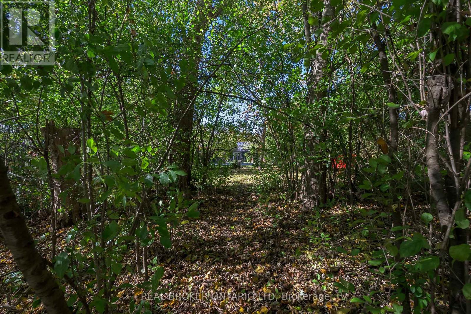 Photo 32 of 39 for 514 Upper Queen Street