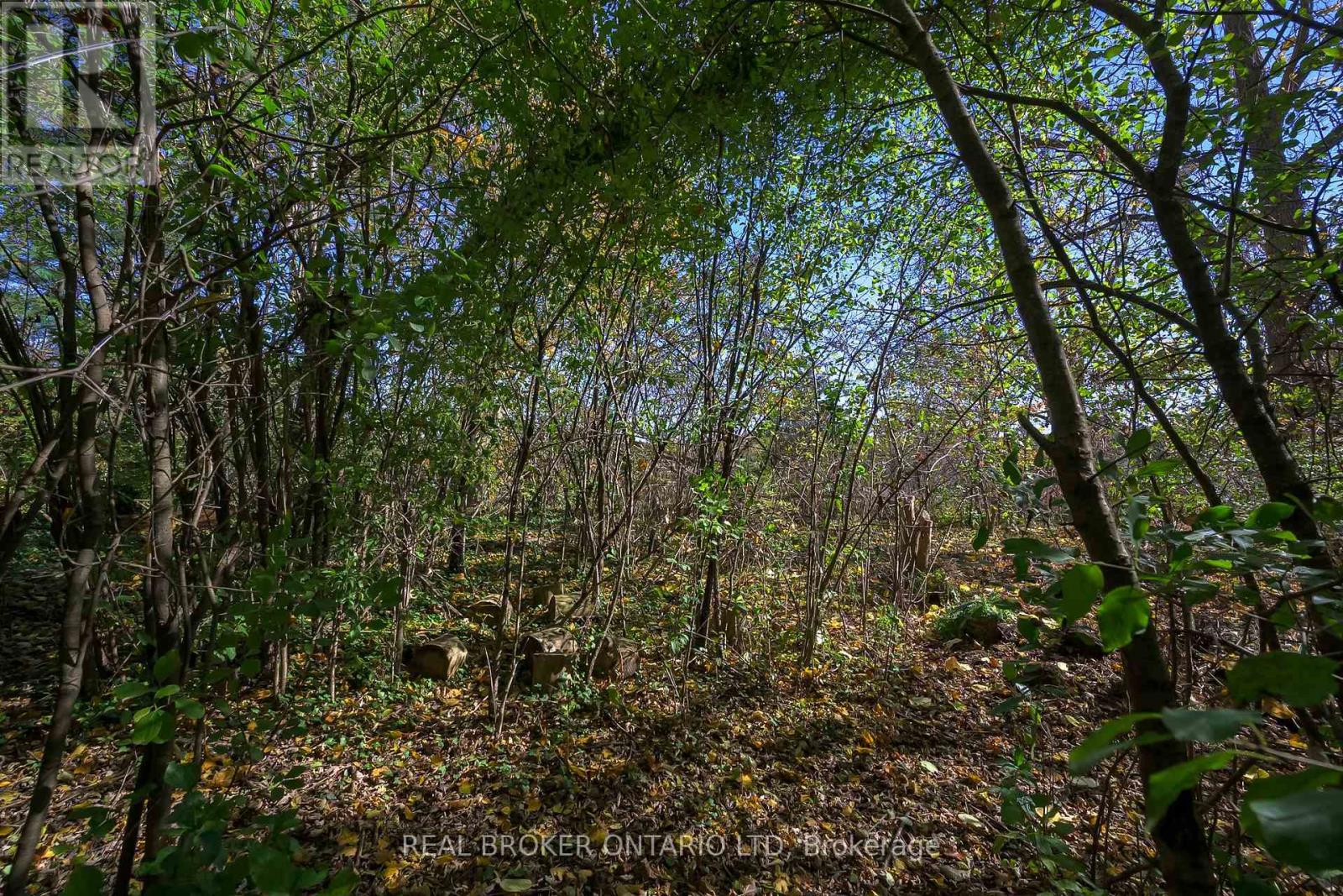 Photo 33 of 39 for 514 Upper Queen Street