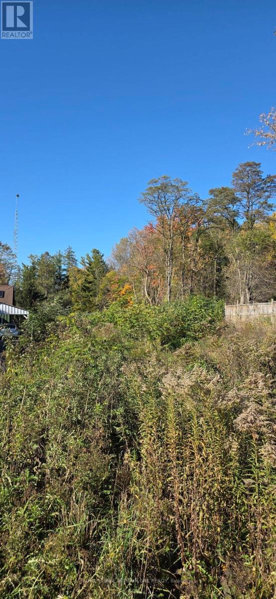 12840 Weston Road, King, Ontario  L7B 1K4 - Photo 4 - N12472185