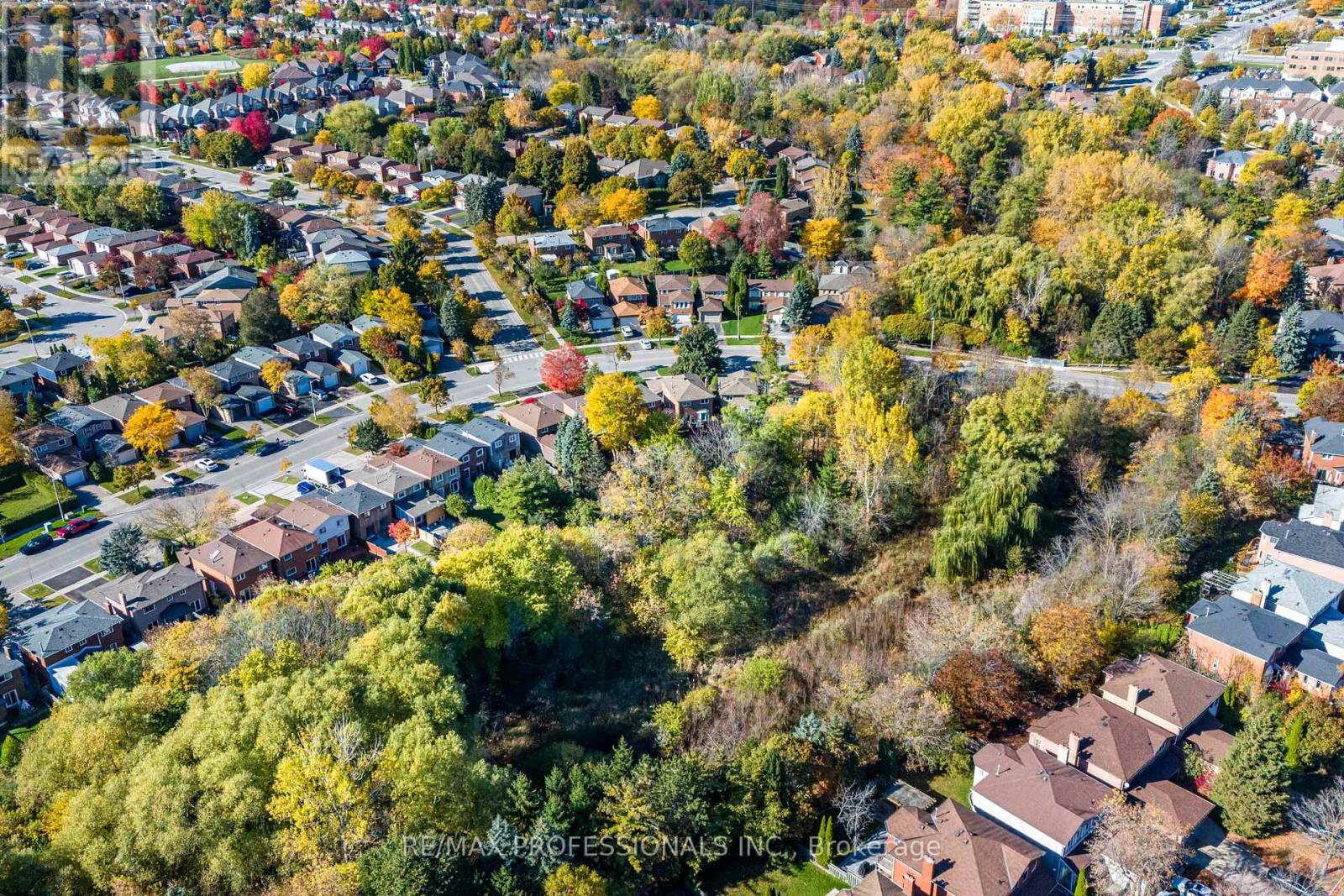 125 Kersey Crescent, Richmond Hill, Ontario  L4C 5X4 - Photo 41 - N12485380