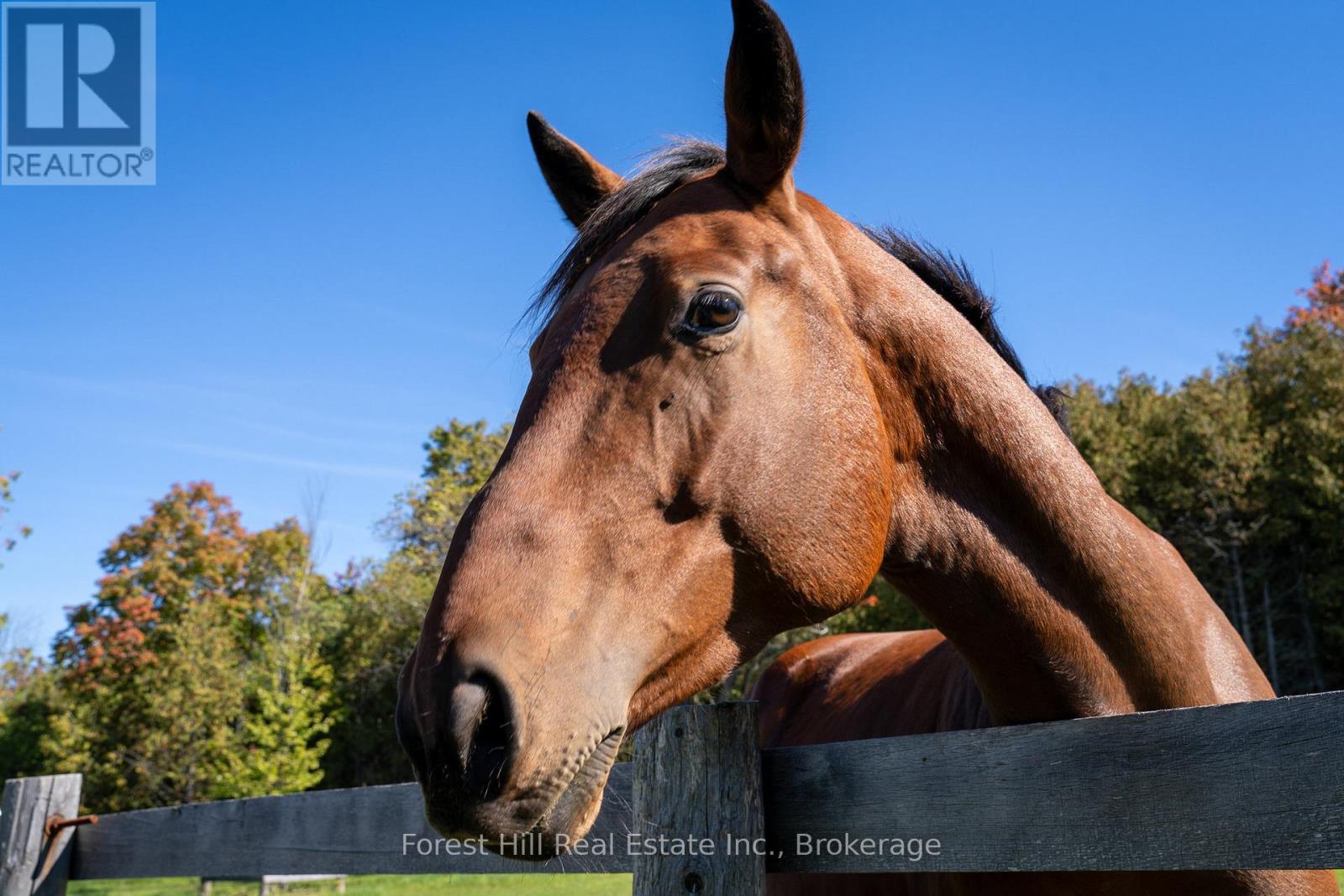 496629 Grey Road 2, Blue Mountains, Ontario  N0H 1J0 - Photo 12 - X12485502