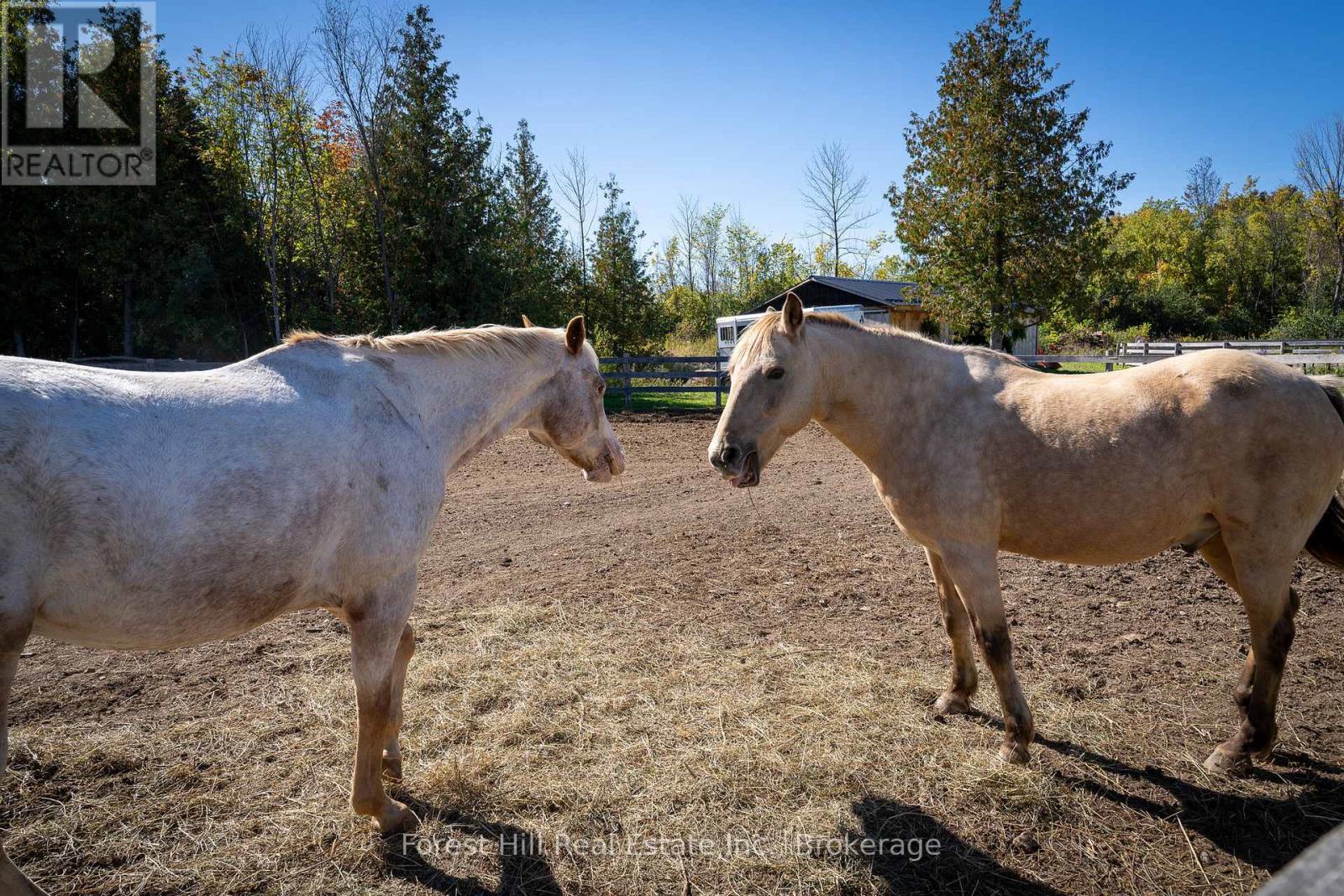 496629 Grey Road 2, Blue Mountains, Ontario  N0H 1J0 - Photo 14 - X12485502