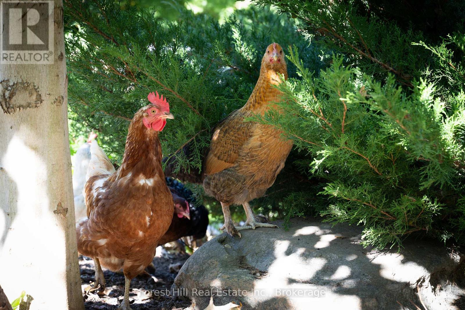 496629 Grey Road 2, Blue Mountains, Ontario  N0H 1J0 - Photo 24 - X12485502