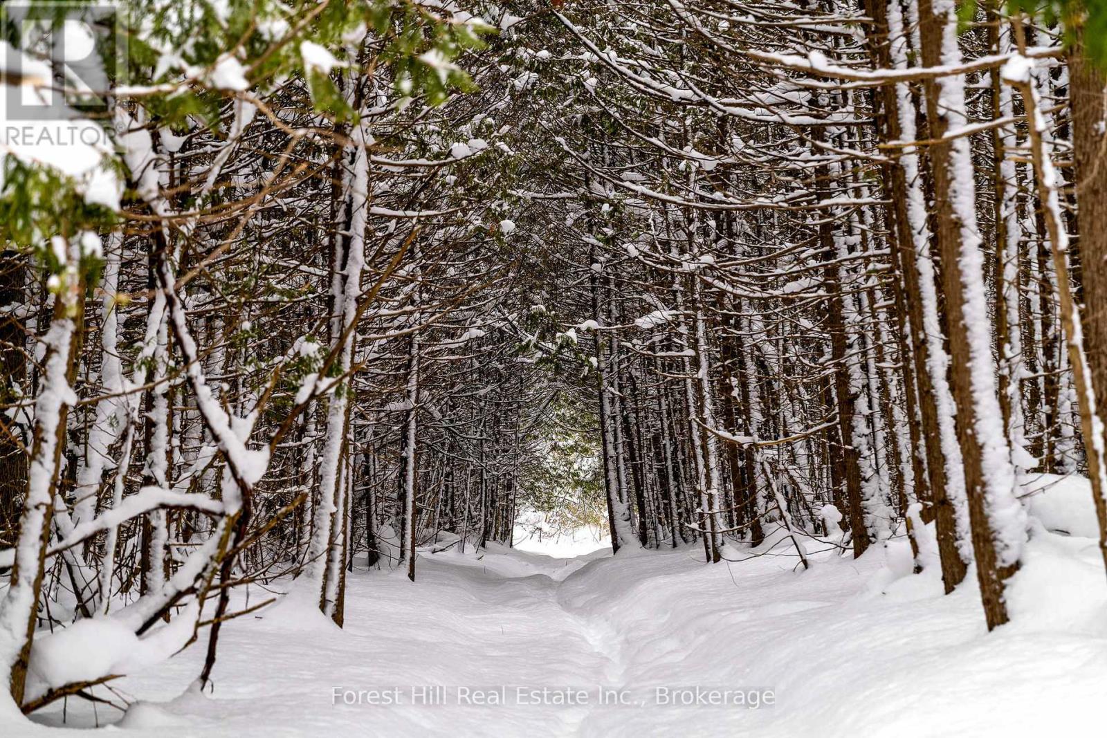 496629 Grey Road 2, Blue Mountains, Ontario  N0H 1J0 - Photo 44 - X12485502