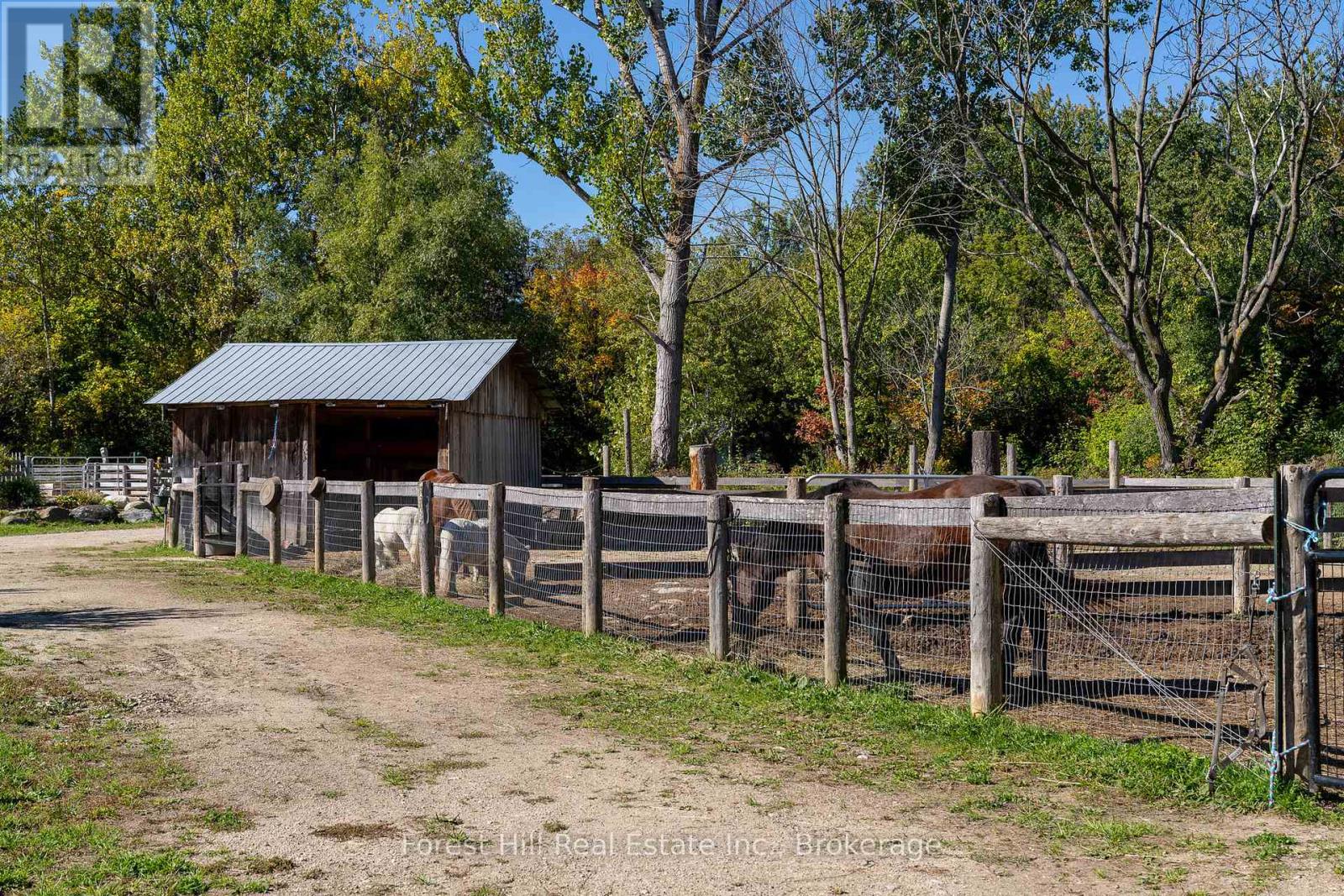 496629 Grey Road 2, Blue Mountains, Ontario  N0H 1J0 - Photo 20 - X12485502