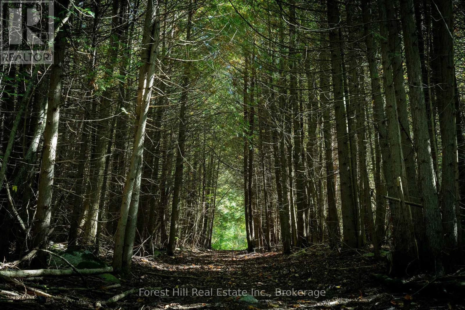 496629 Grey Road 2, Blue Mountains, Ontario  N0H 1J0 - Photo 43 - X12485502