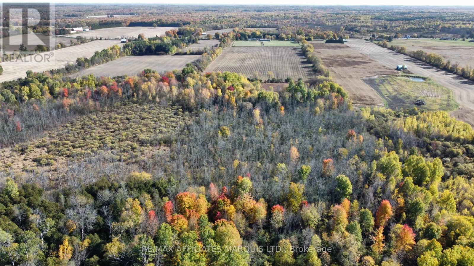 7788 County 21 Road, Augusta, Ontario  K0E 1X0 - Photo 42 - X12485514