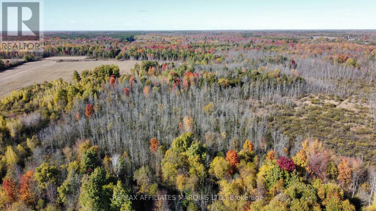 7788 County 21 Road, Augusta, Ontario  K0E 1X0 - Photo 43 - X12485514