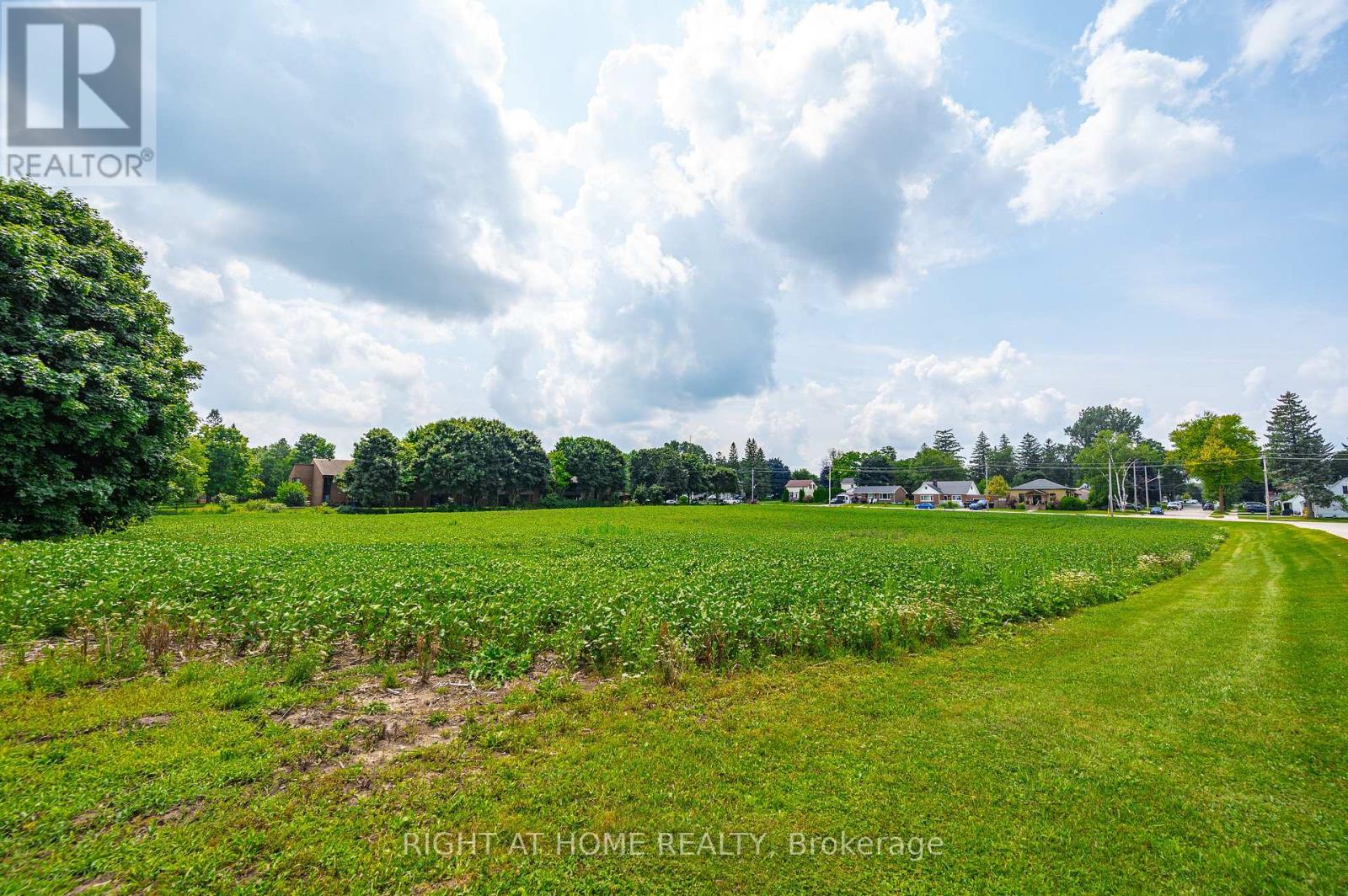 20 Part Lot Con 1, Minto, Ontario  N0G 2P0 - Photo 9 - X12485374