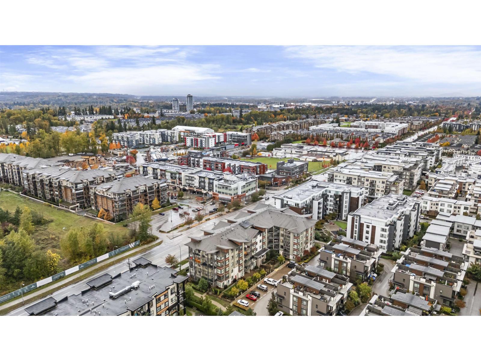 306 7809 209 Street, Langley, British Columbia  V2Y 3N6 - Photo 35 - R3062077