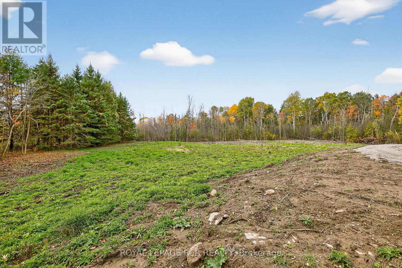 4560 Anderson St Street, Whitby, Ontario  L1R 2W1 - Photo 29 - E12485462