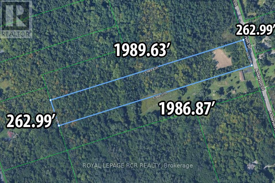 4560 Anderson St Street, Whitby, Ontario  L1R 2W1 - Photo 3 - E12485462