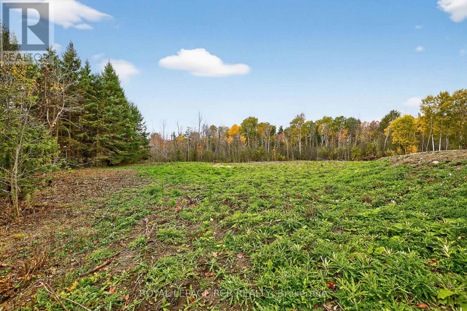 4560 Anderson St Street, Whitby, Ontario  L1R 2W1 - Photo 30 - E12485462